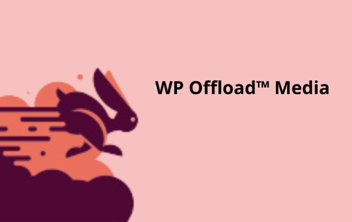 WP Offload Media.